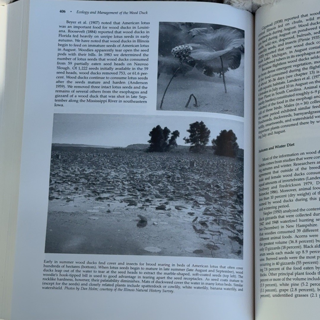 Ecology and Management of the Wood Duck Stackpole Books 1994 Hardcover