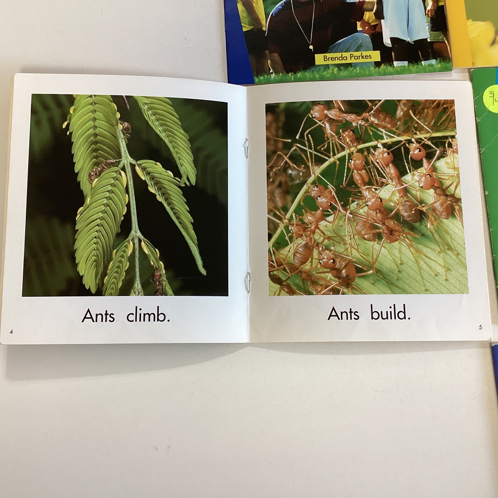 Kindergarten 18 Book Reader Lot Level A-C Newbridge Discovery Links