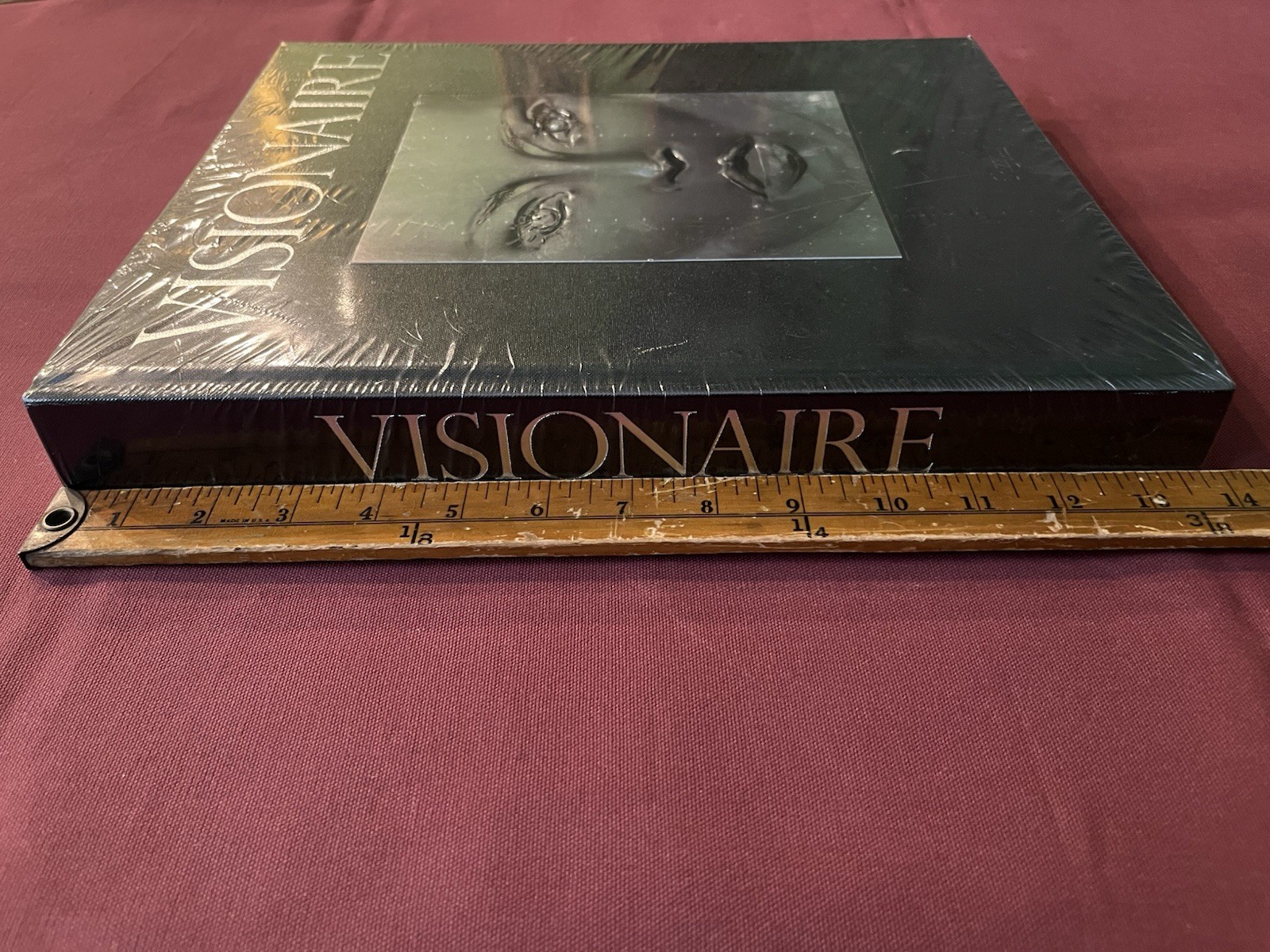 Visionaire Experiences in Art and Fashion (James Kaliardos Cecilia Dean) NWT OOP