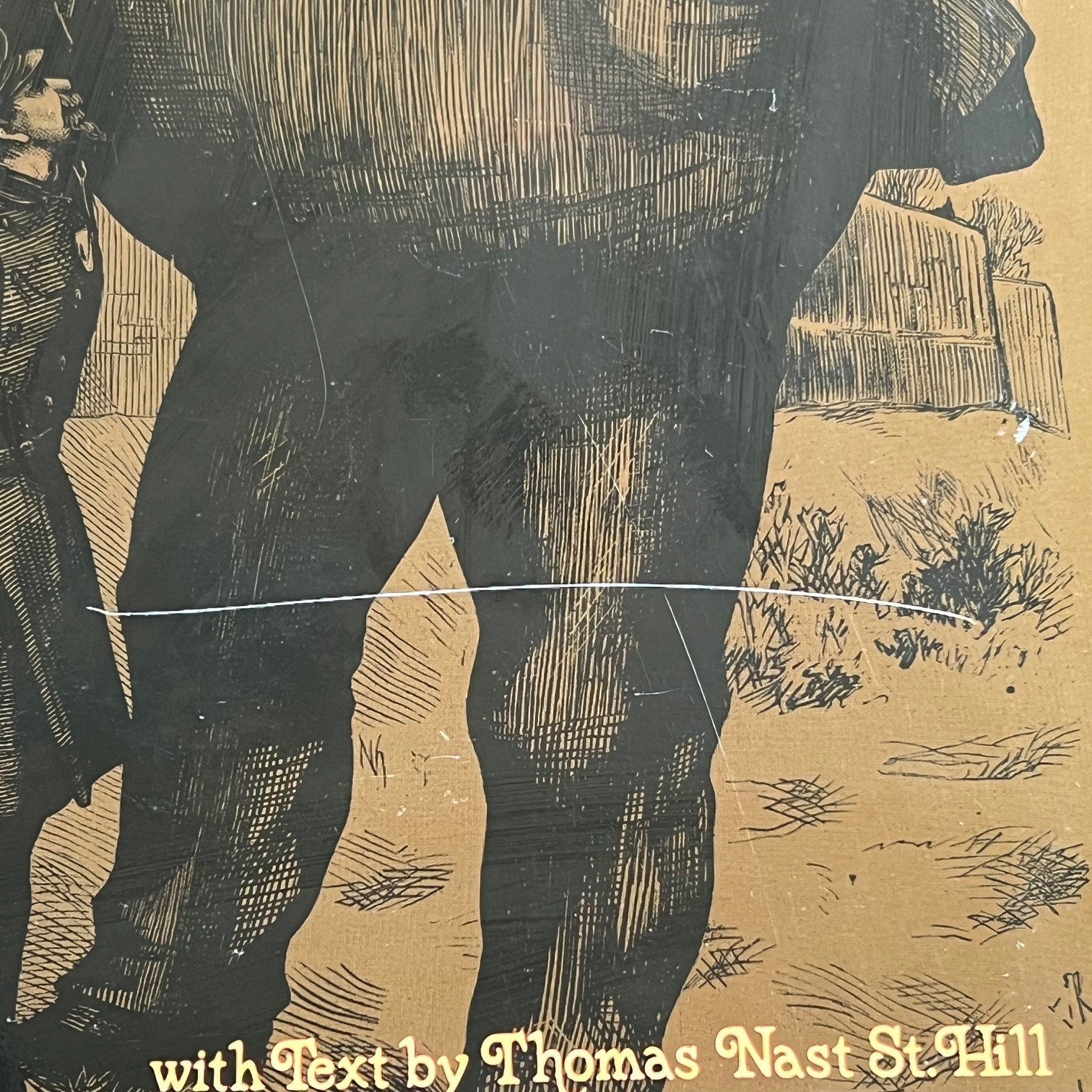 Thomas Nast: Cartoons and Illustrations 117 Works Dover 1974 VTG Hardcover Book