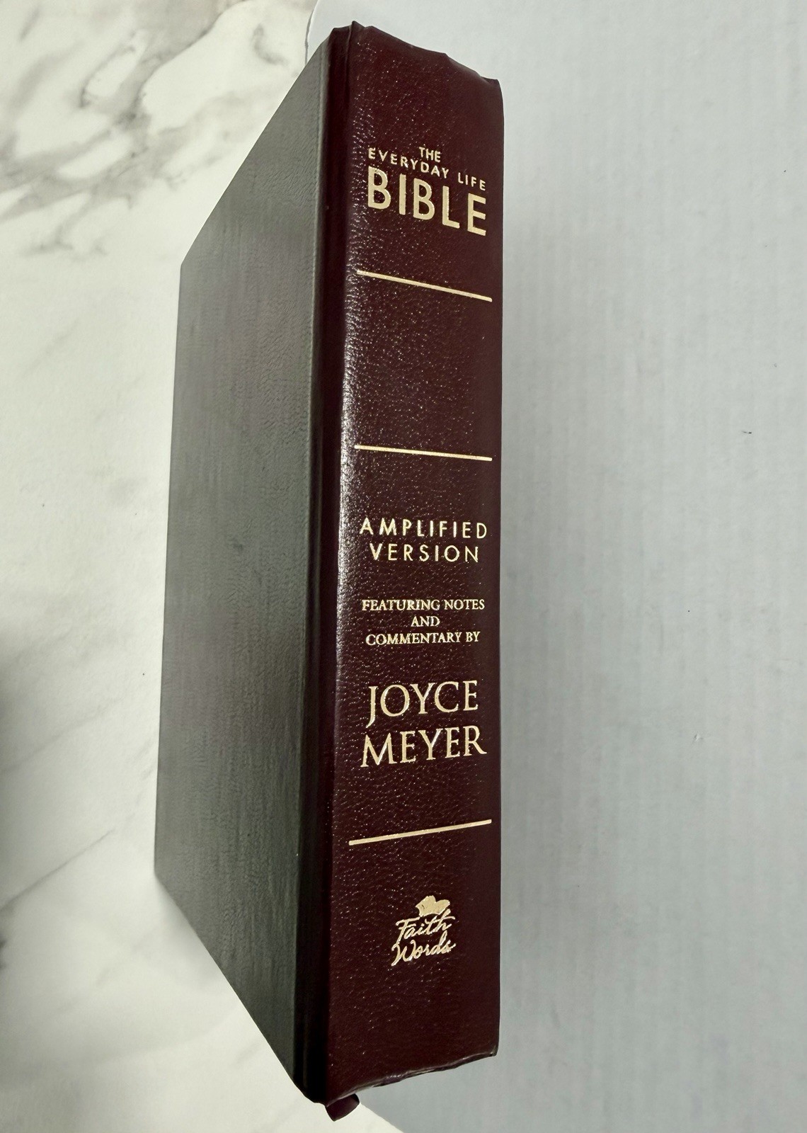 Joyce Meyer The Everyday Life Bible Amplified Version Leather Bound 2009