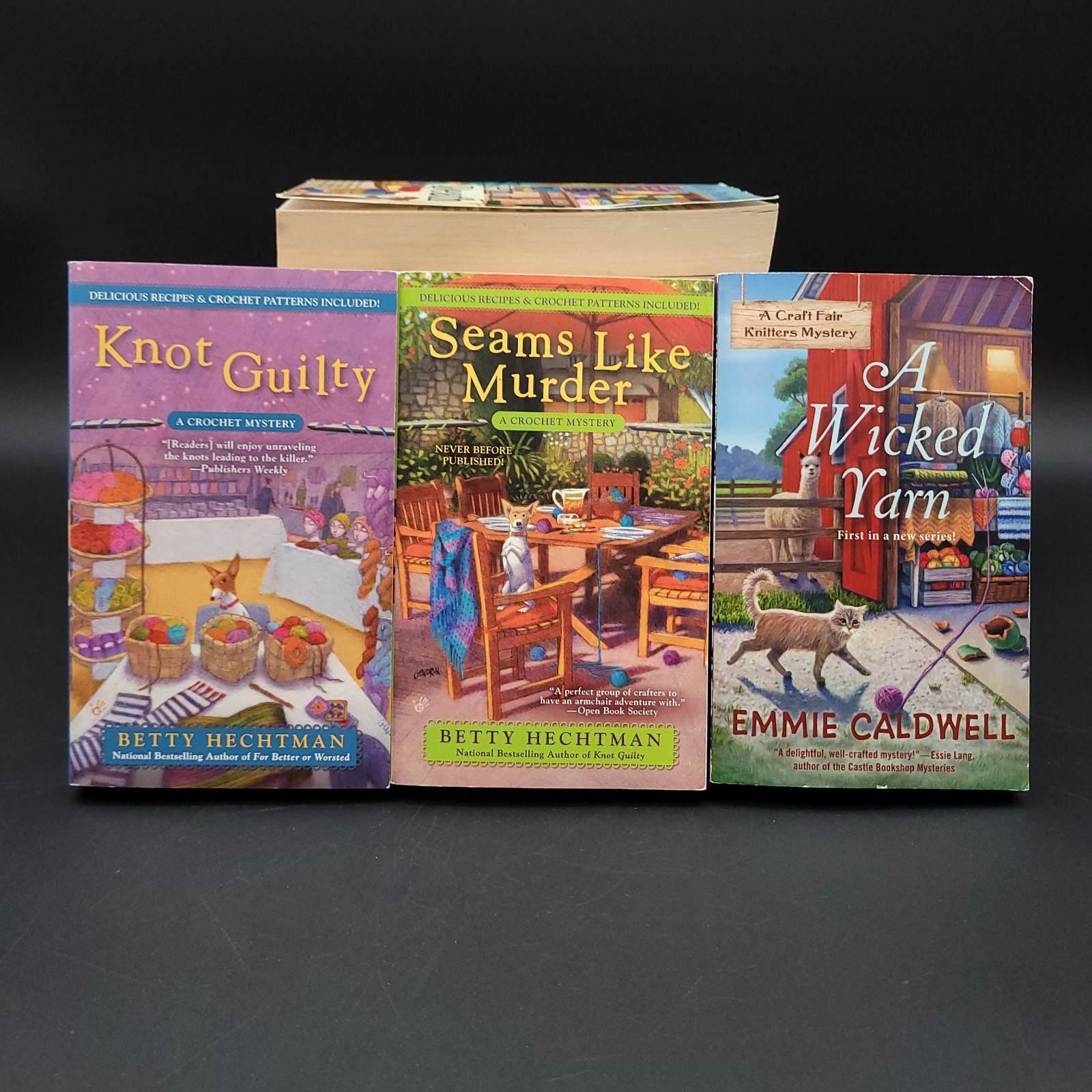 Cozy Mystery Books Lot of 12 Related to Knit Crochet Needlework Misc Titles