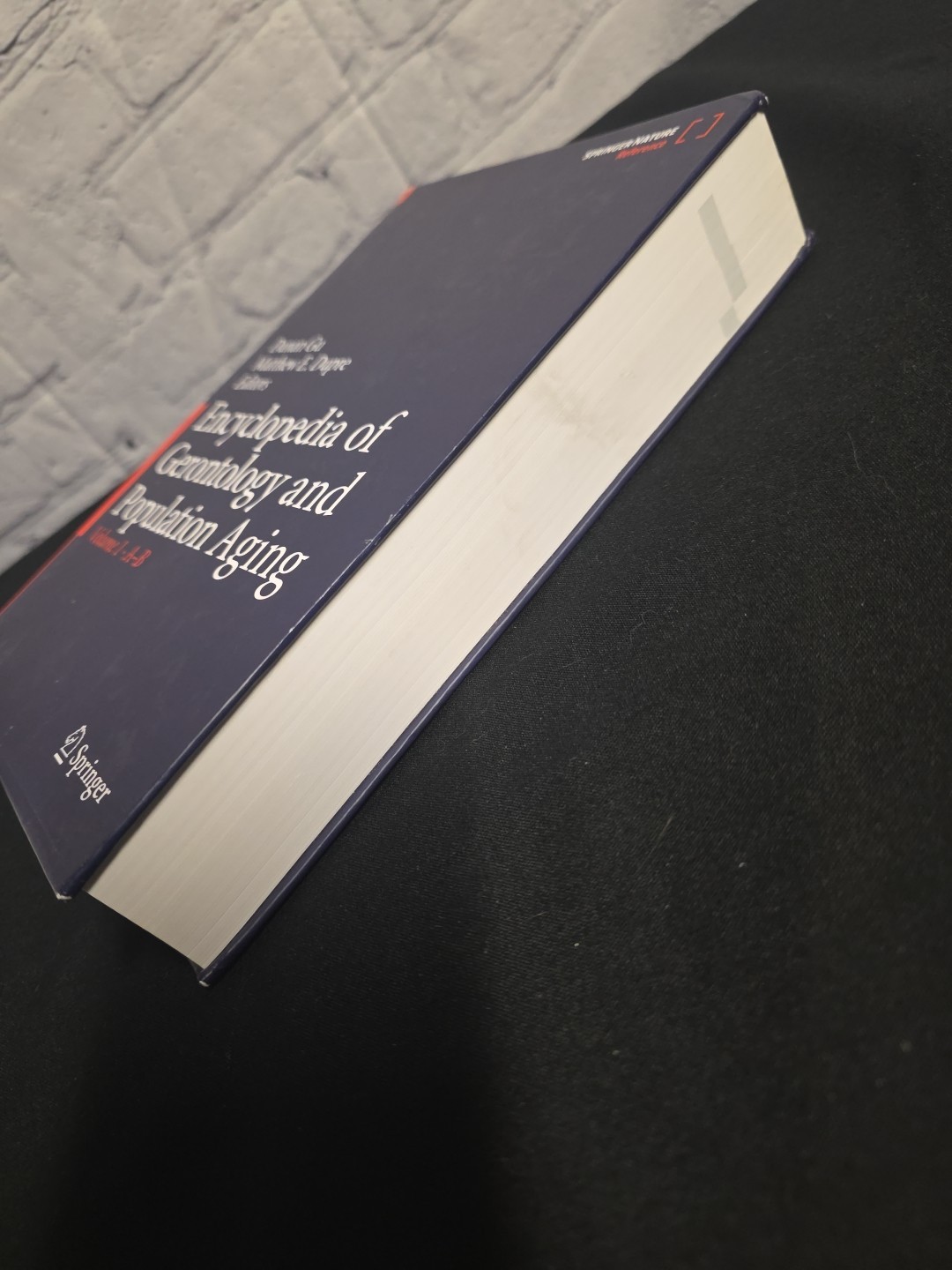 Encyclopedia of Gerontology and Population Aging Volume 1: A-B English Hardcover