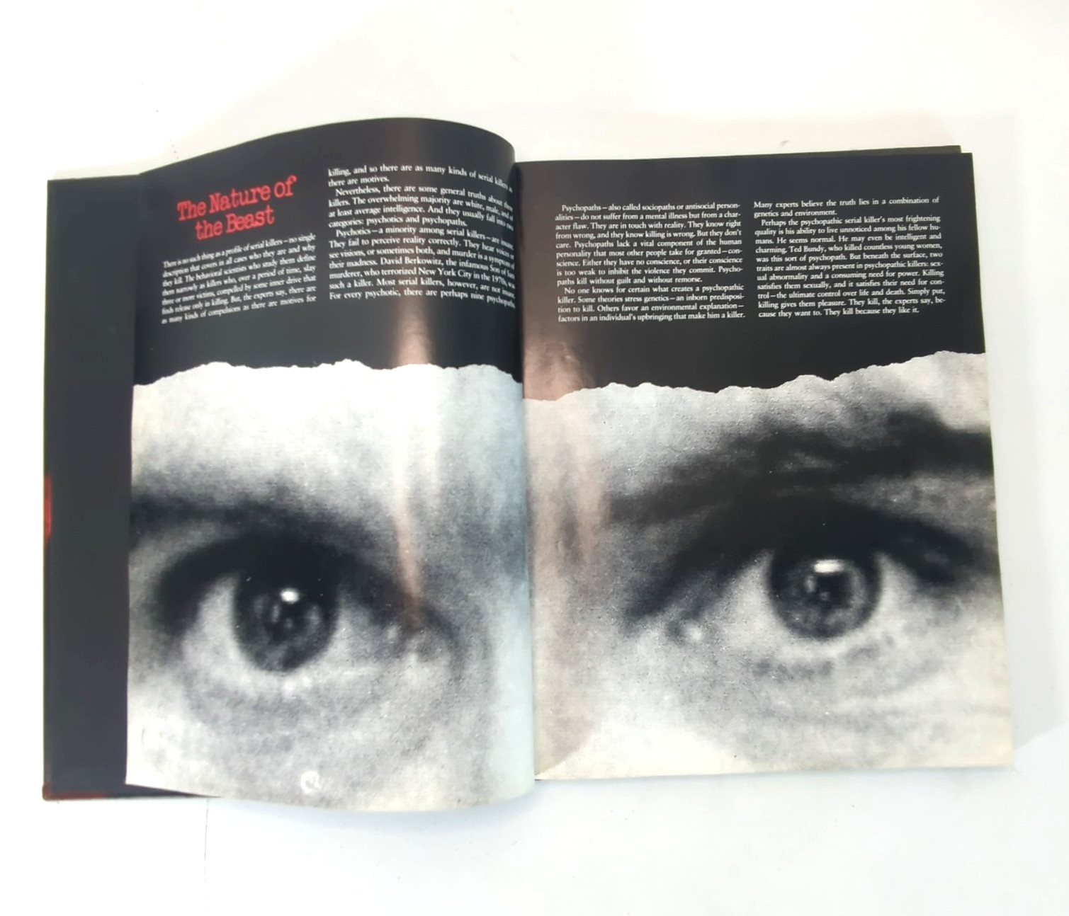True Crime Serial Killer, Unsolved Crimes, Mafia, Mass Murderers 4 HC Books Used