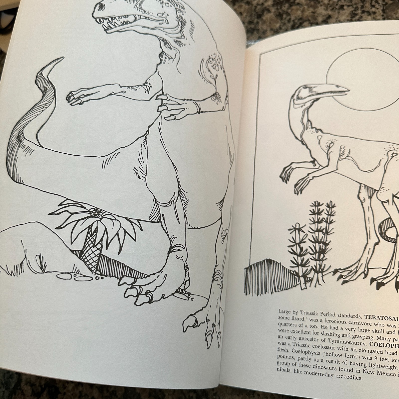 The Dinosaur Coloring Book Anthony Rao Dover Vintage 1980