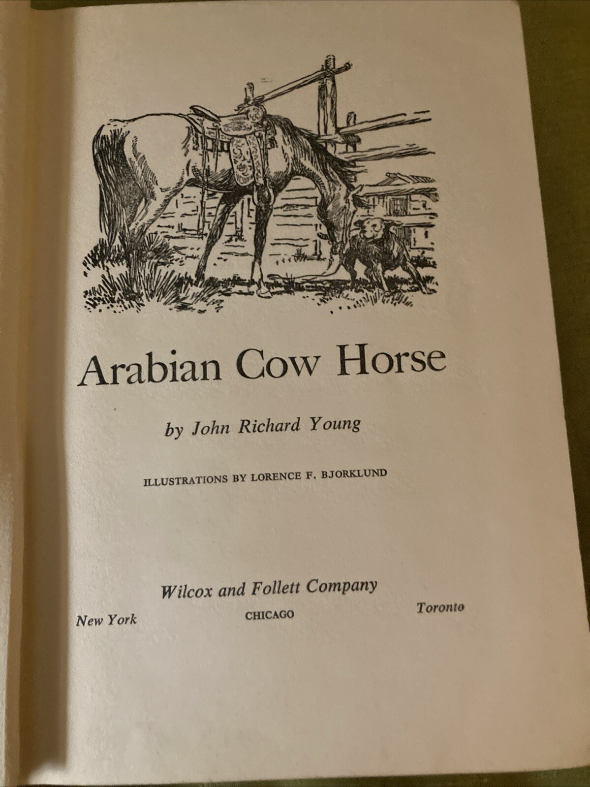 Arabian How horse by John Richard Young, Lorence F Bjorklund, 1953, Vintage Rare