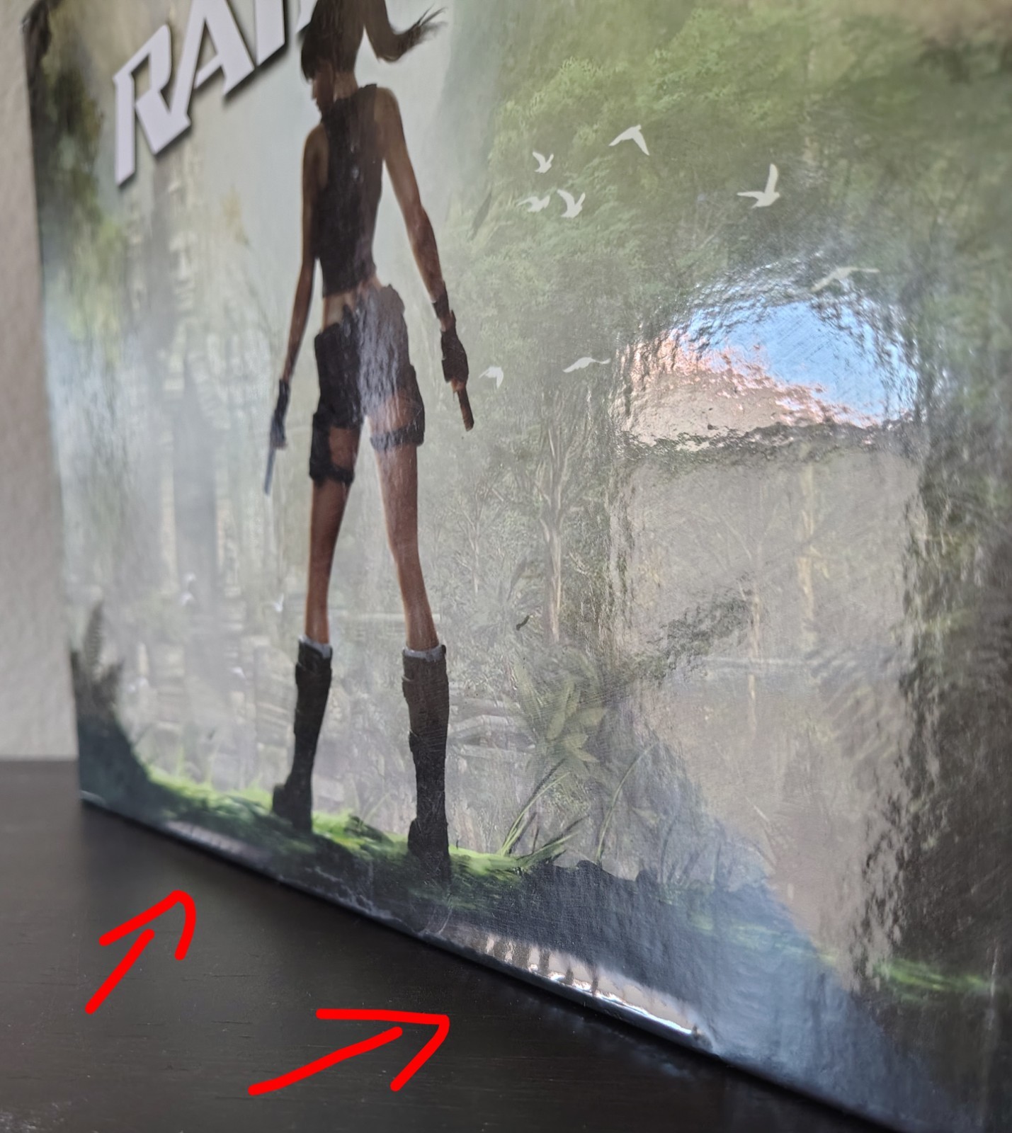 Art of Tomb Raider Hardcover Collection by Steffan Schulz and Stan Stice 2010