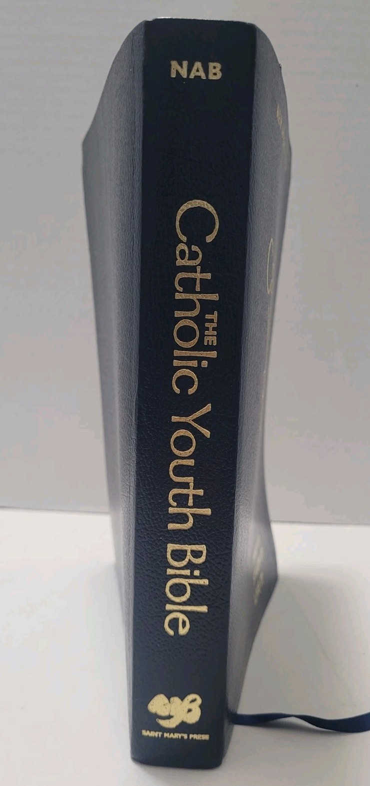 Catholic Youth Bible! In Great Shape