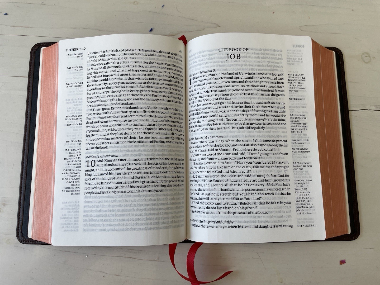 Rare Cambridge NKJV Clarion Bible Pilot Binding, Brown Edge-Lined Calfskin!
