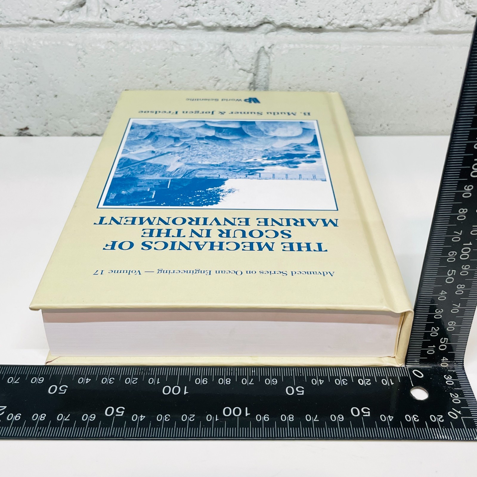 The Mechanics of Scour in the Marine by B. Mutlu Sumer (Hardcover Book)