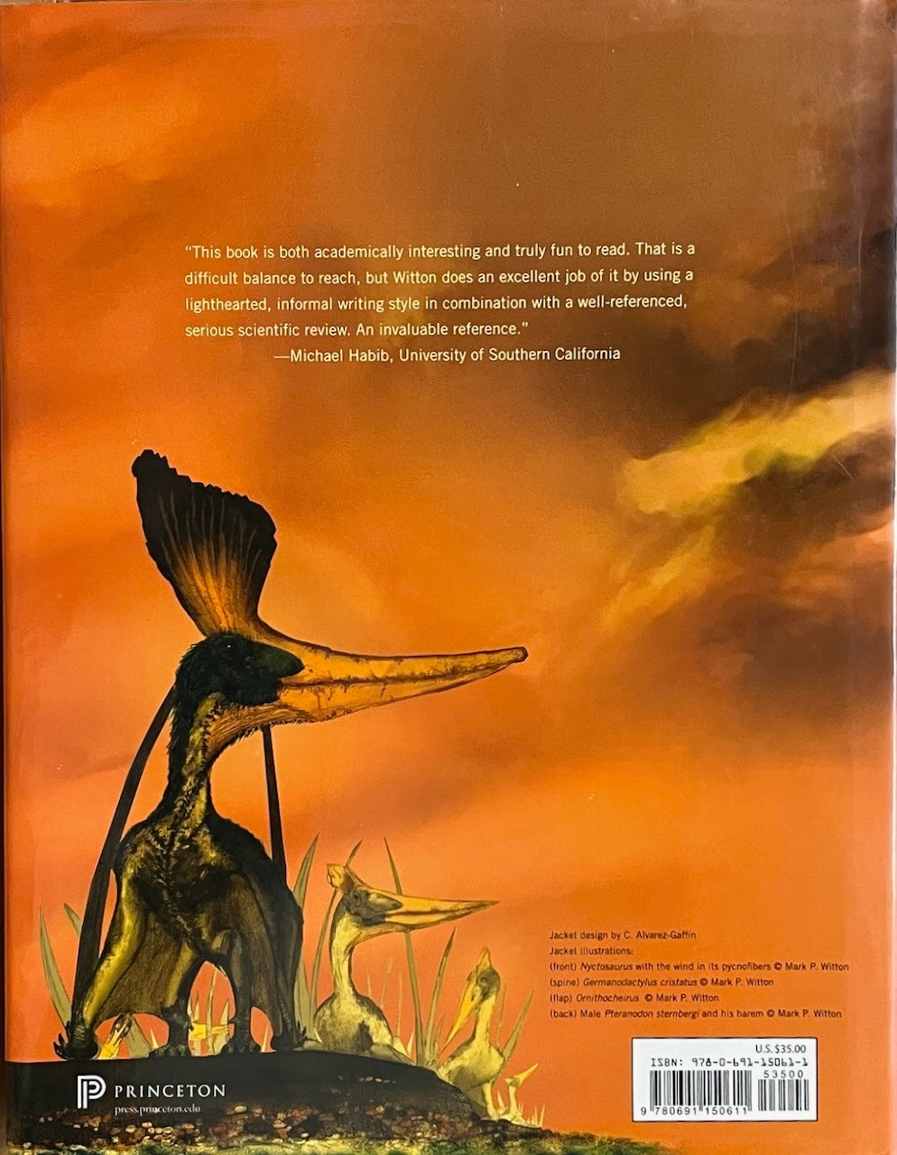 Pterosaurs: Natural History, Evolution, Anatomy / Mark Witton / Princeton HC