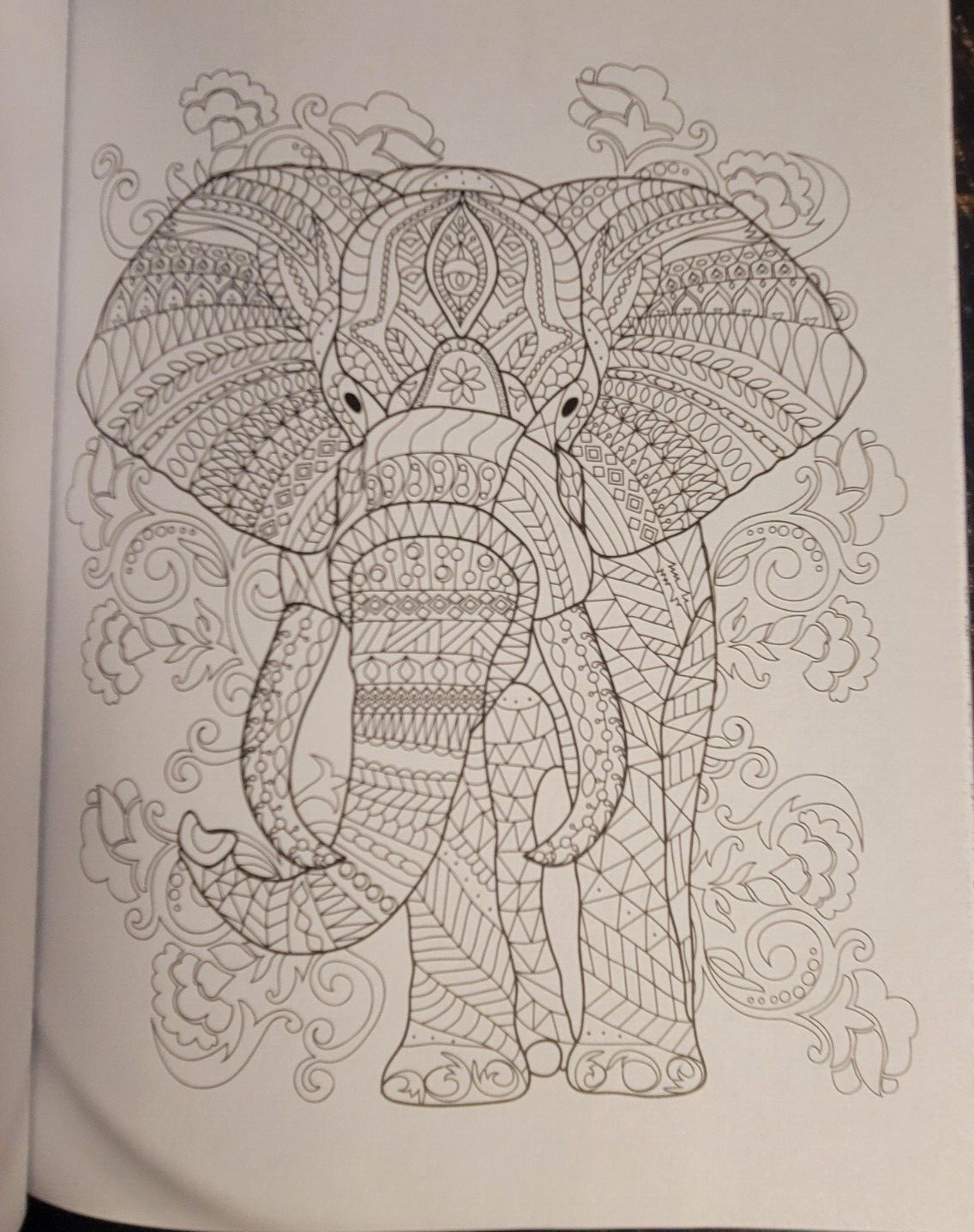COLORS OF THE WILD Vol. 21 Adult Coloring Book With 47 Prints Ready To Frame!