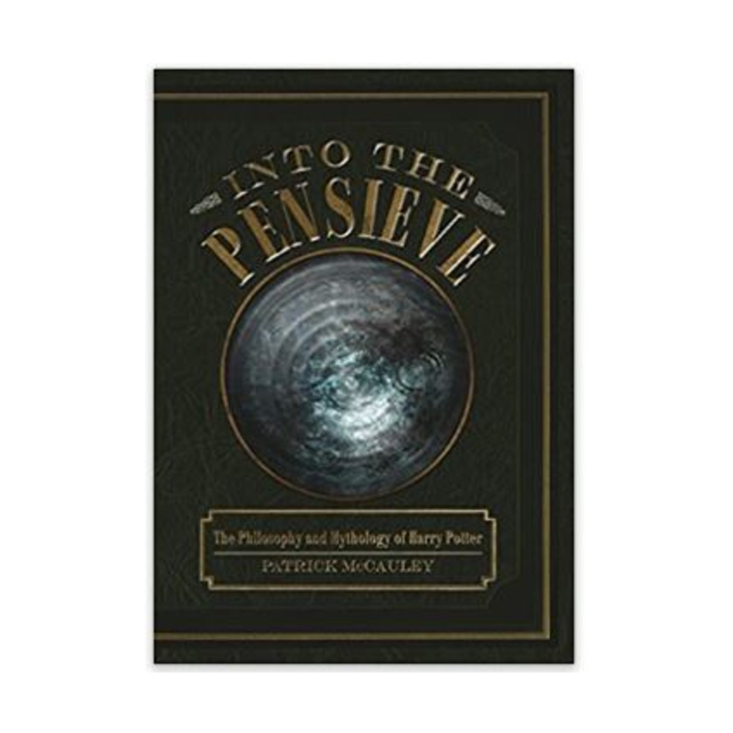 Schiffer Novel Into the Pensieve NM