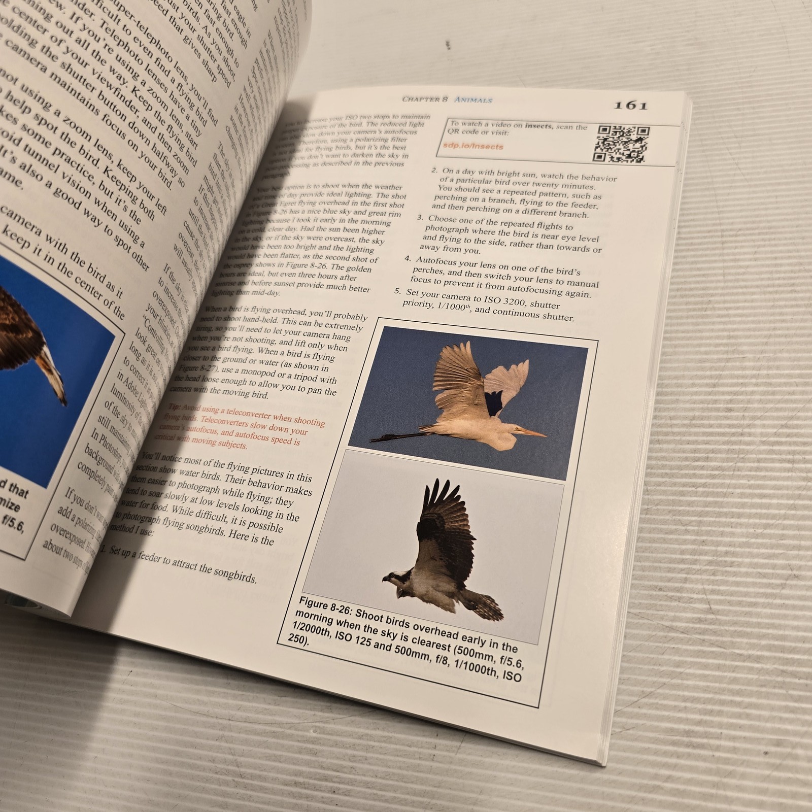 Tony Northrup’s DSLR Book: How to Create Stunning Digital Photography Guide