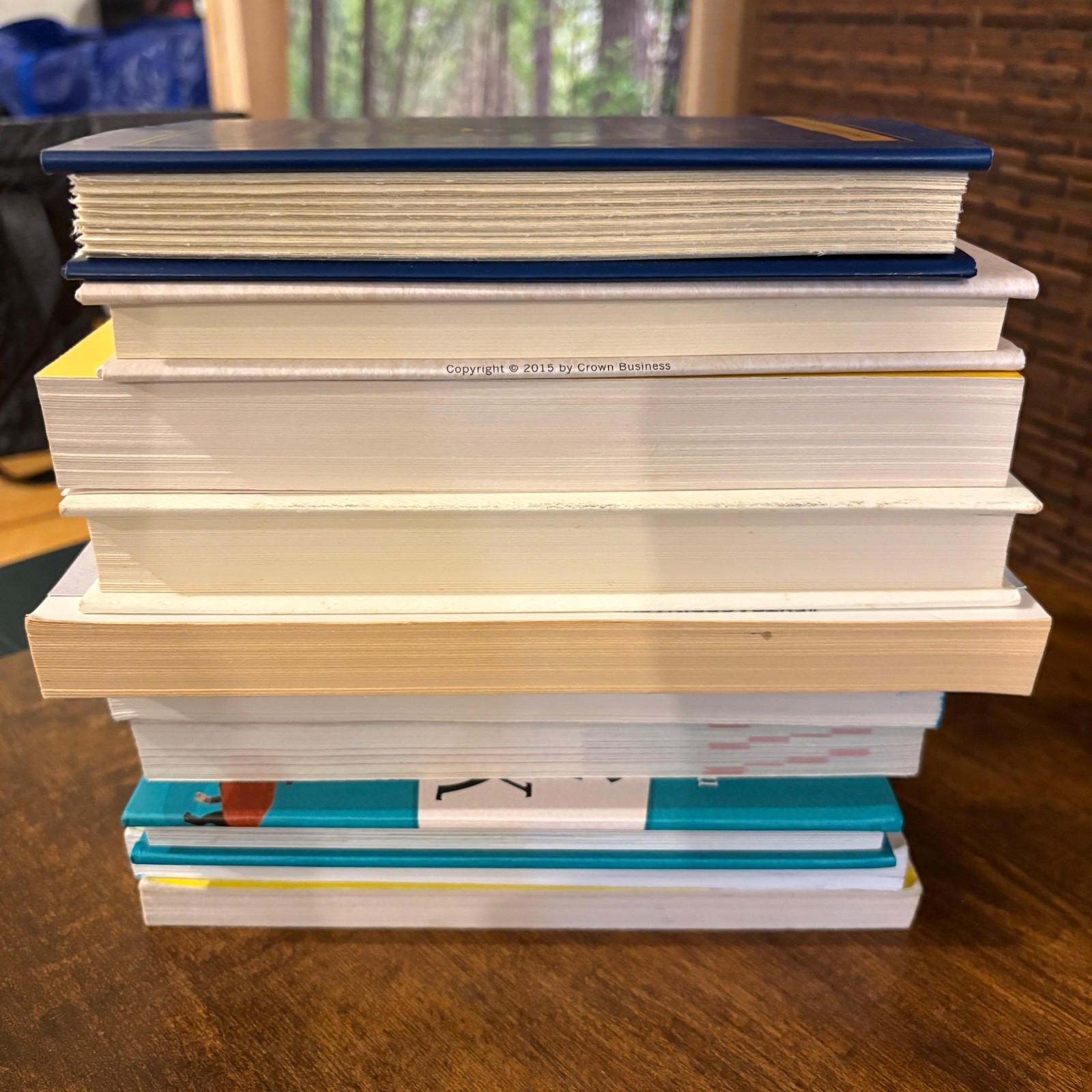 Lot Of 10 Misc Books Zadie Smith Jaycee Dugard Dog Books Fiction Non Fiction