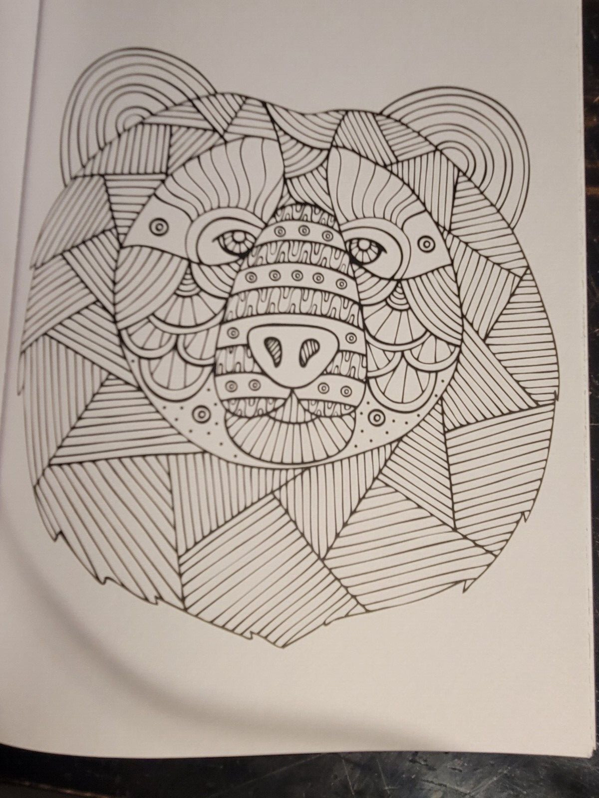 COLORS OF THE WILD! Vol. 18 Adult Coloring Book With 47 Prints Ready To Frame!