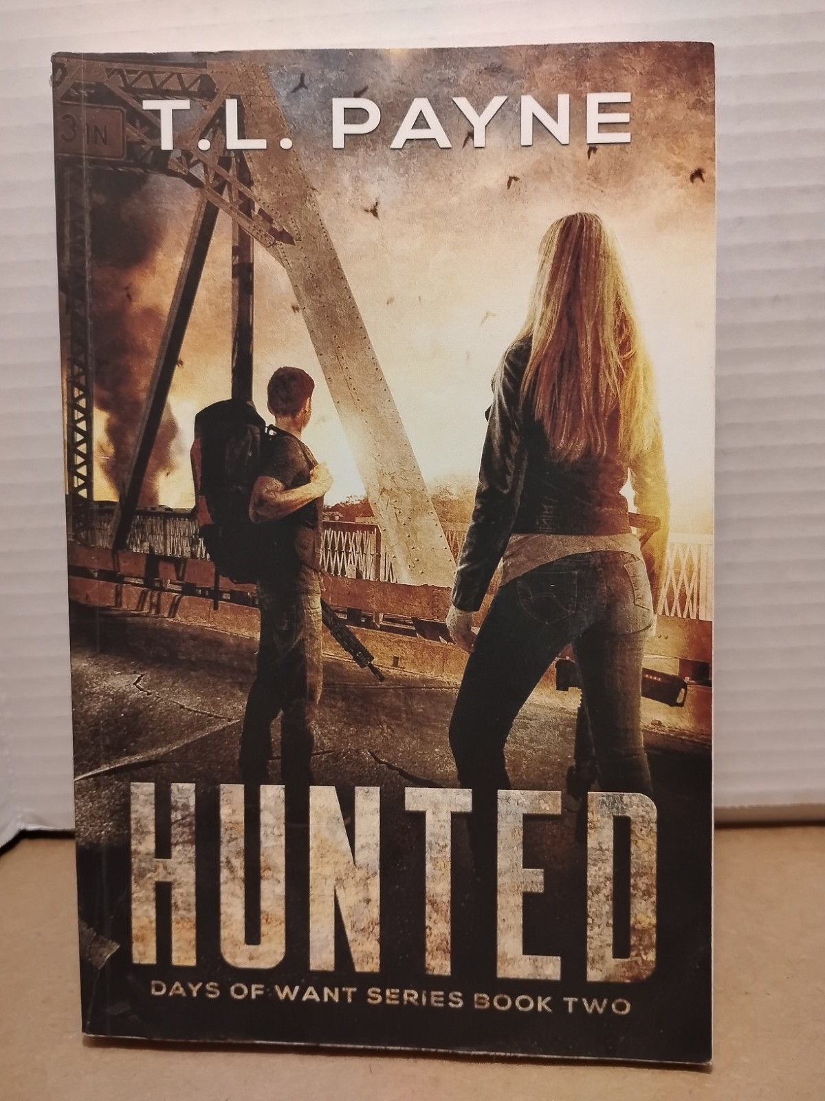 DAYS OF WANT #’s 1-5 by T. L. Payne – YA Post Apocalyptic Action Fantasy Series
