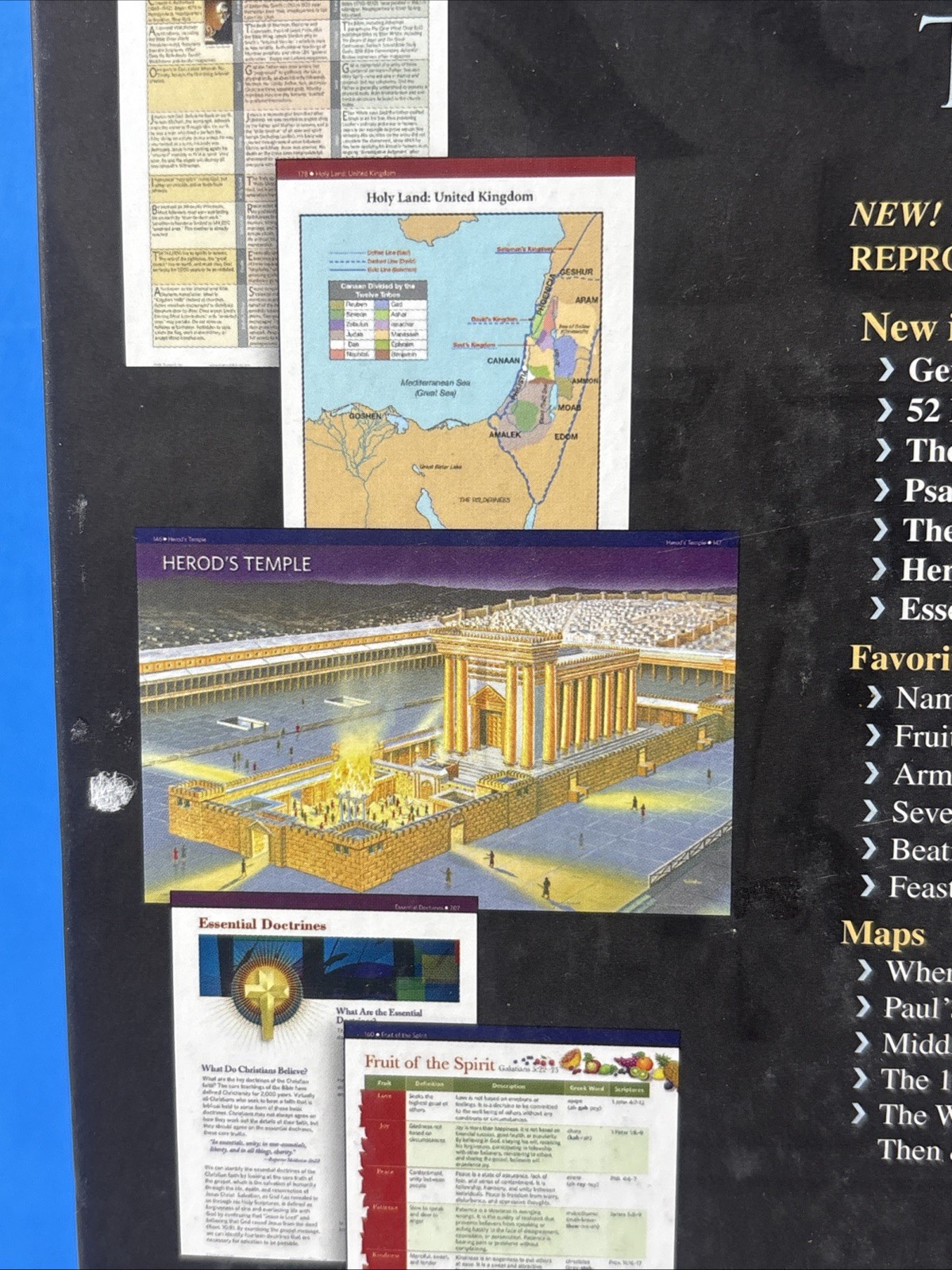 Rose Book of Bible Charts, Maps, and Time Lines: Full-Color Bible Charts