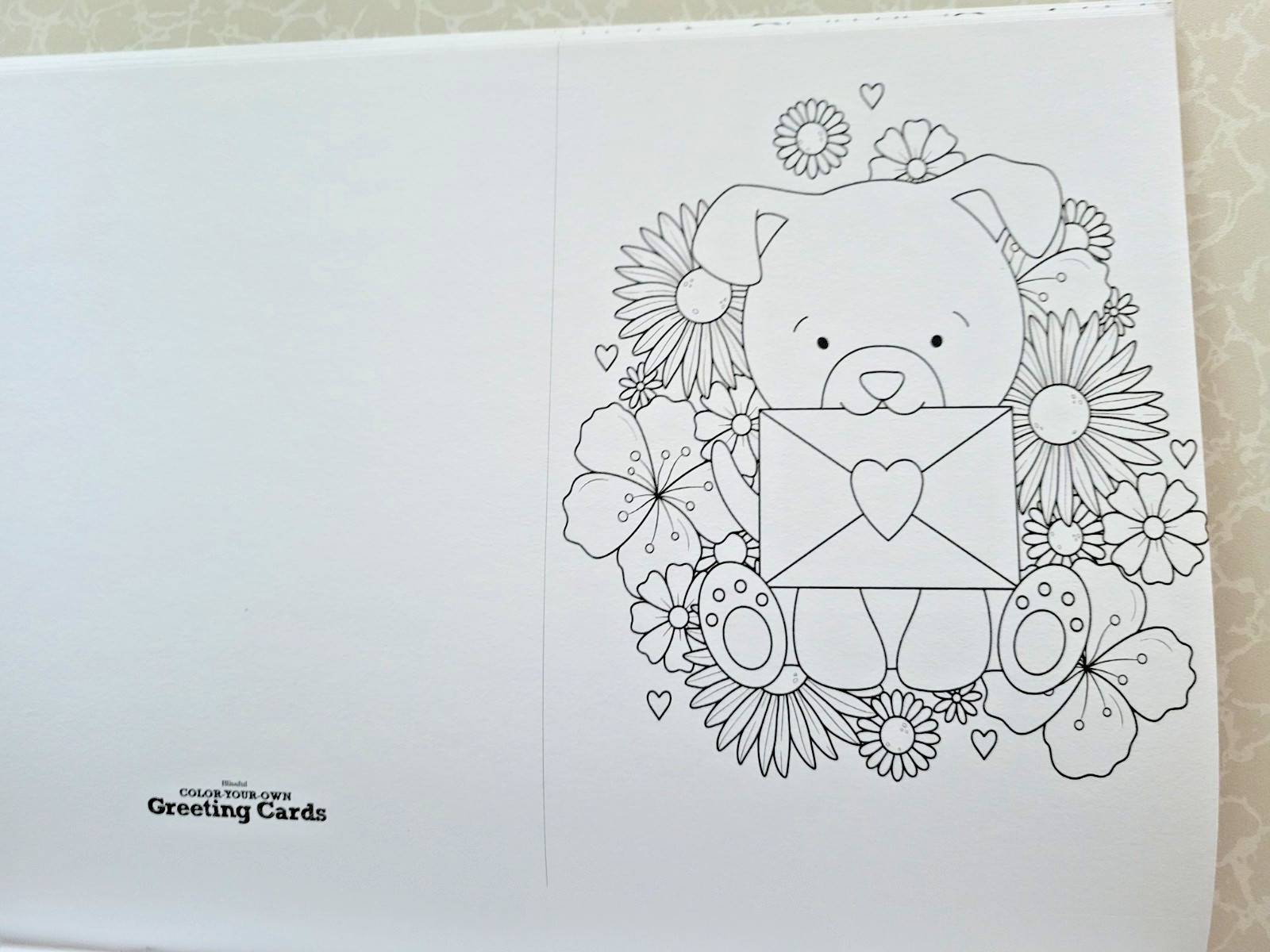 COLOR YOUR OWN GREETING CARDS Create 24 Fun & Festive Cards – Children & Adult