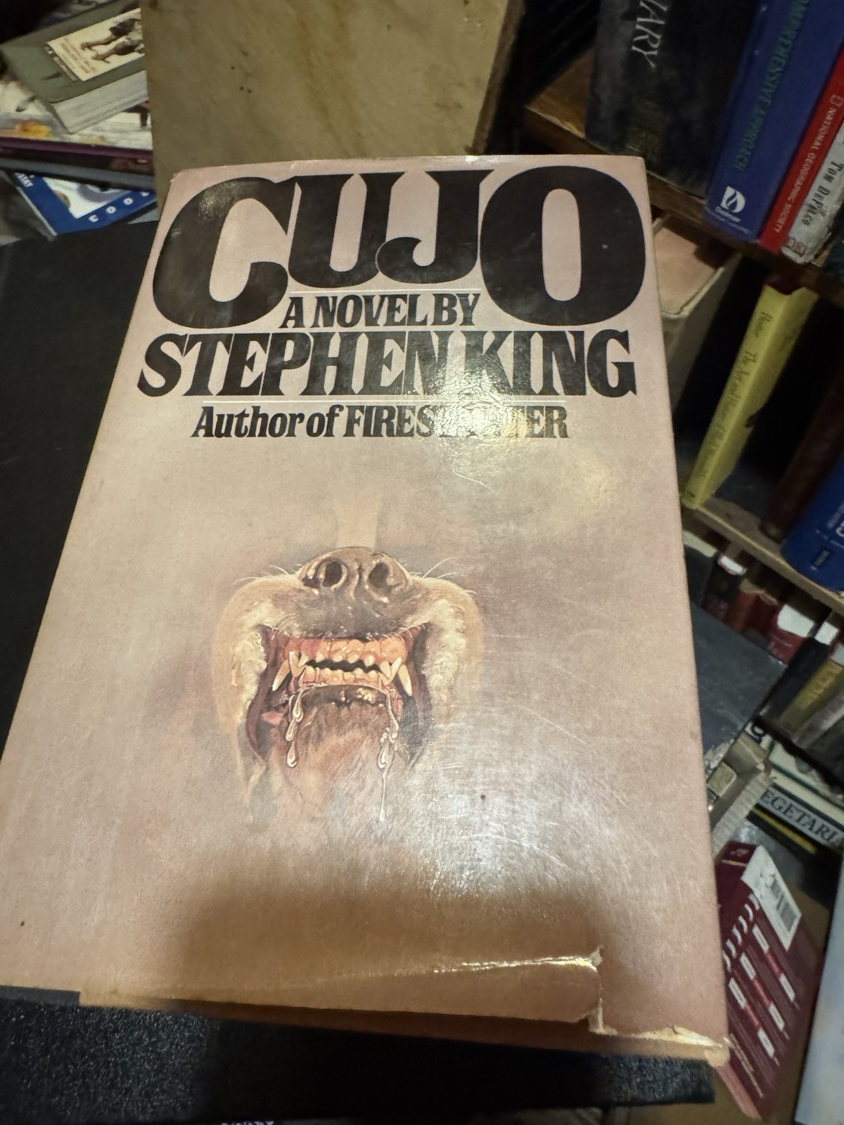 Stephen King CUJO 1981 1st Printing Edition VIKING Hardback