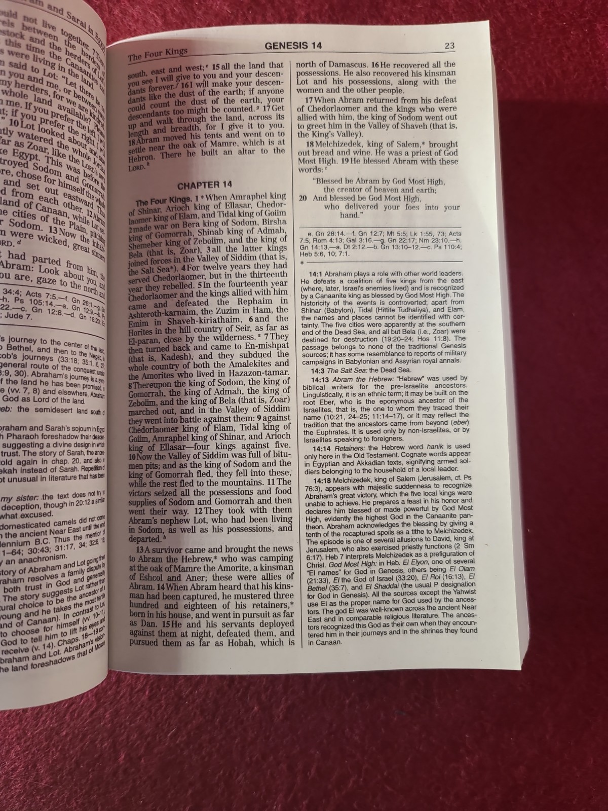 NEW AMERICAN BIBLE REVISED EDITION, PAPERBACK, 2011 BY WORLD CATHOLIC PRESS