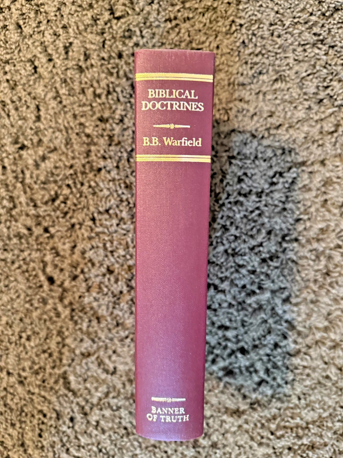BIBLICAL DOCTRINES By Benjamin B. Warfield – Hardcover – Banner of Truth