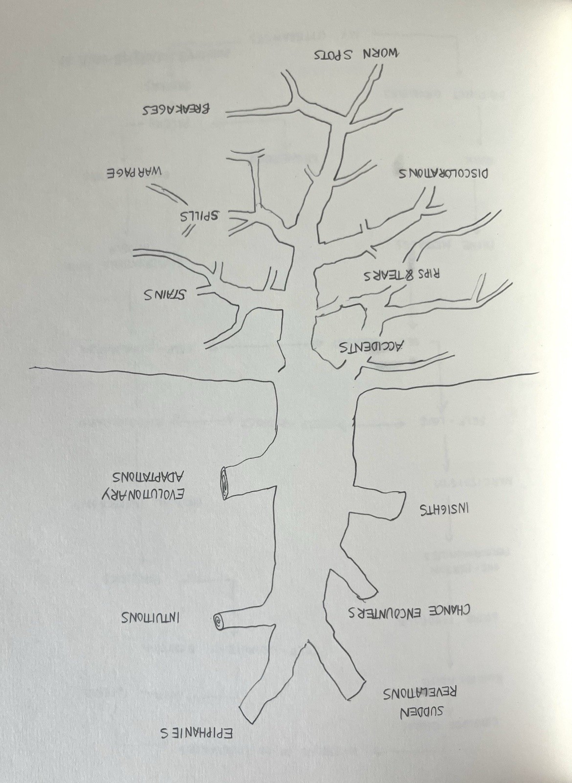 David Byrne Arboretum McSweeney’s 2006 Conceptual Art Book Illustrated