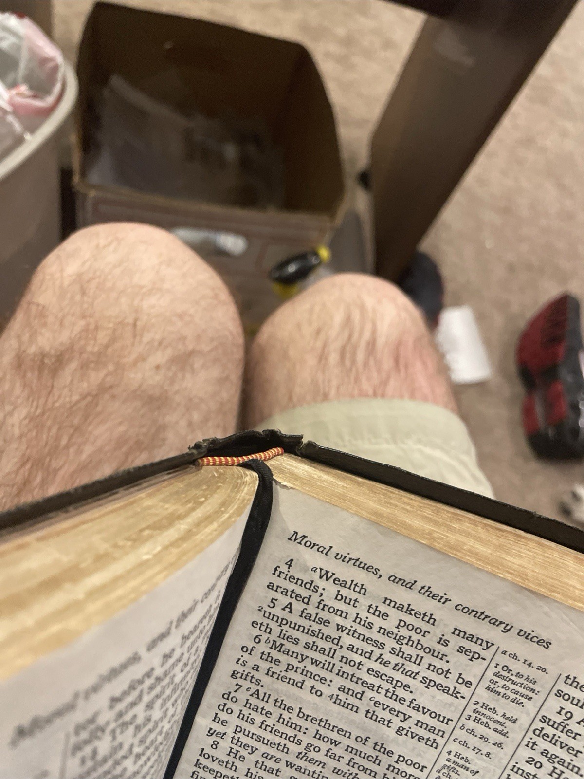 Holy Bible Cambridge French Morocco leather #24XC