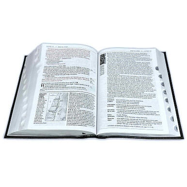 Biblia de Estudio del Diario Vivir Letra Grande NTV – sentipiel negro con indice