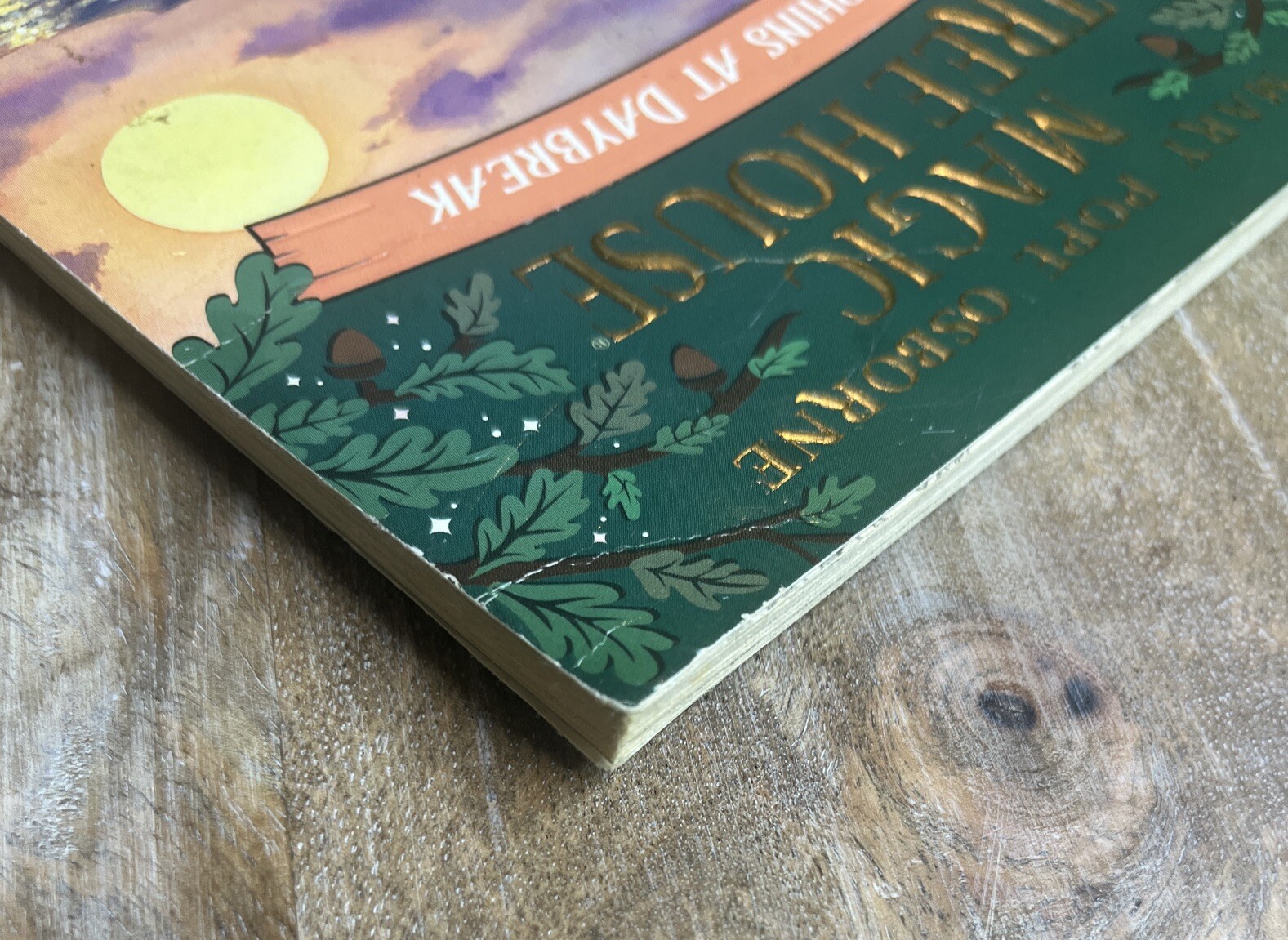 Dolphins at Daybreak (Magic Tree House, No. 9)