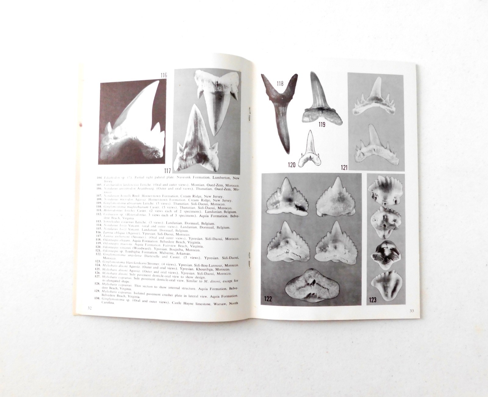Fossil Sharks: a pictorial review by Gerard R. Case 1973 Signed 1st Printing