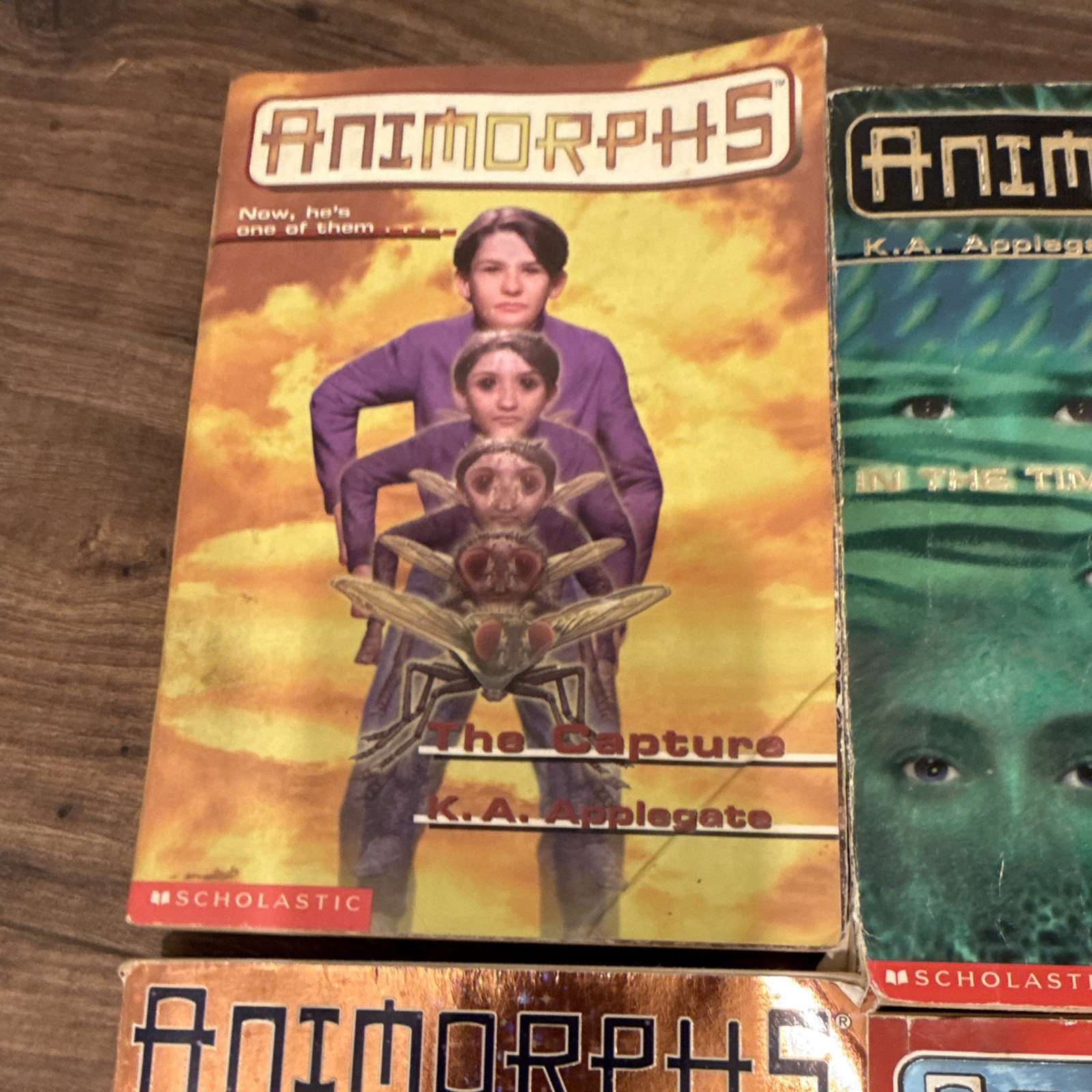 Animorphs Paperback Book 9 book Lot by K. A. Applegate Scholastic