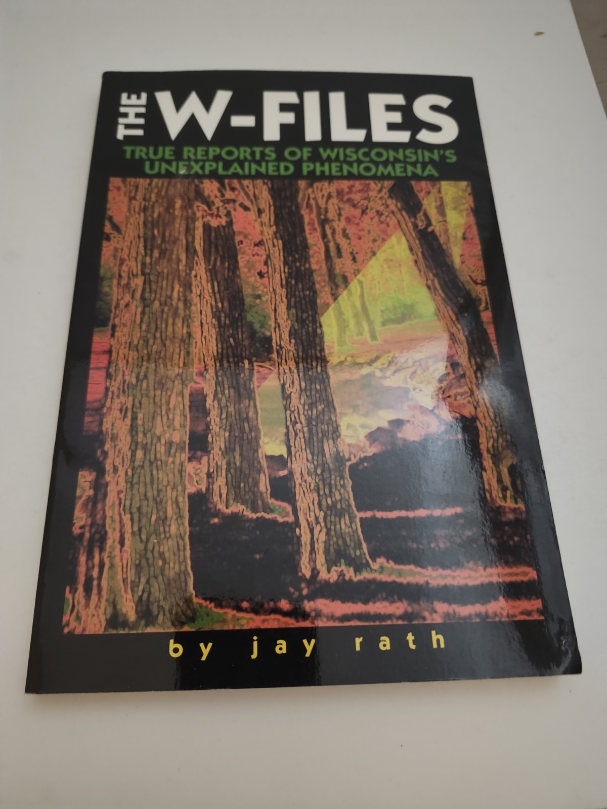 The W-Files True Reports of Wisconsin’s Unexplained Phenomena Book Jay Rath PB