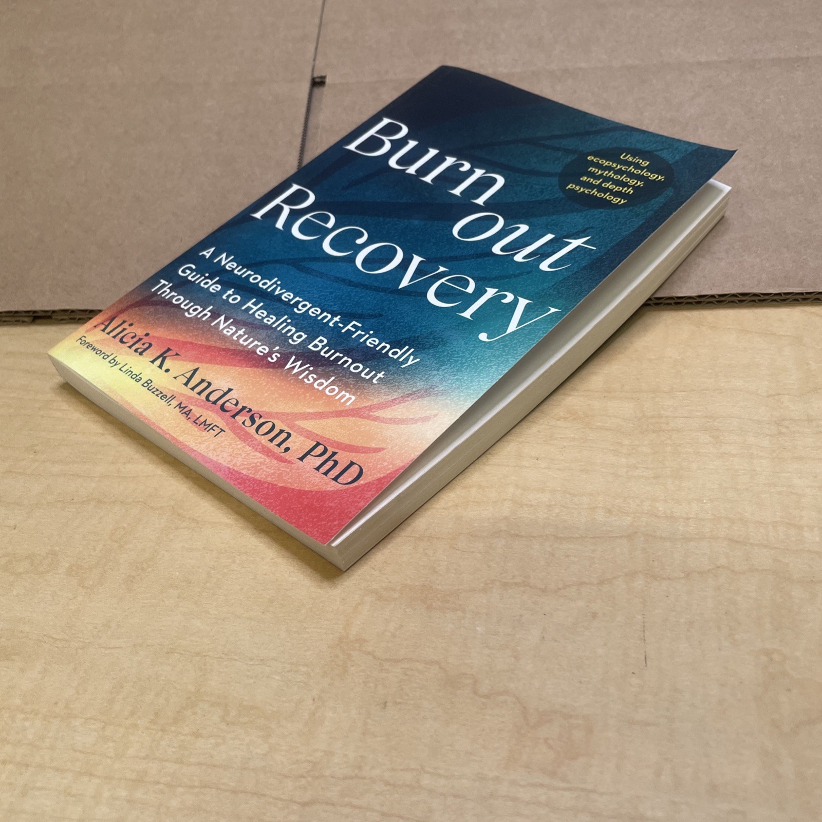 Burnout Recovery by Alicia King Anderson Paperback
