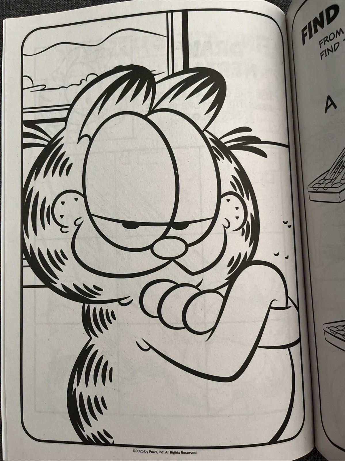 Garfield Jumbo Coloring & Activity Book Puzzles Games & Pages to Color Bendon
