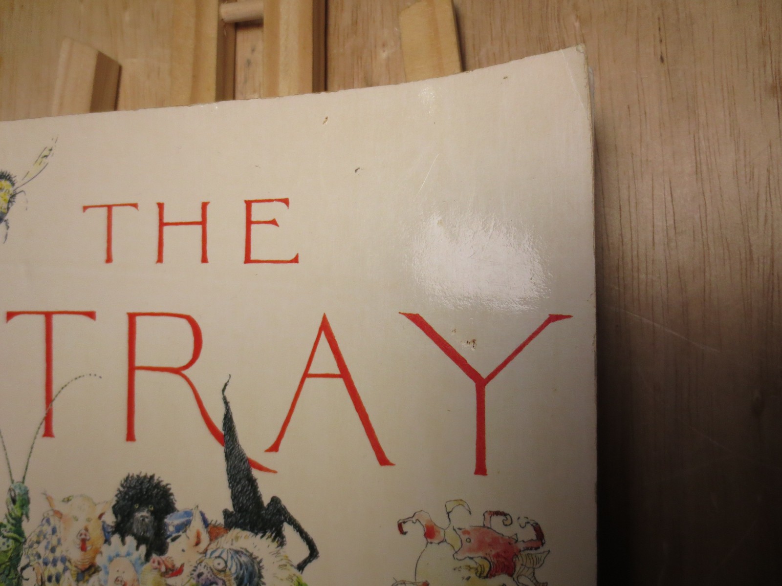 The Stray by Betsy James Wyeth Illustrated by Jamie Wyeth 1st Ed 1979 VTG
