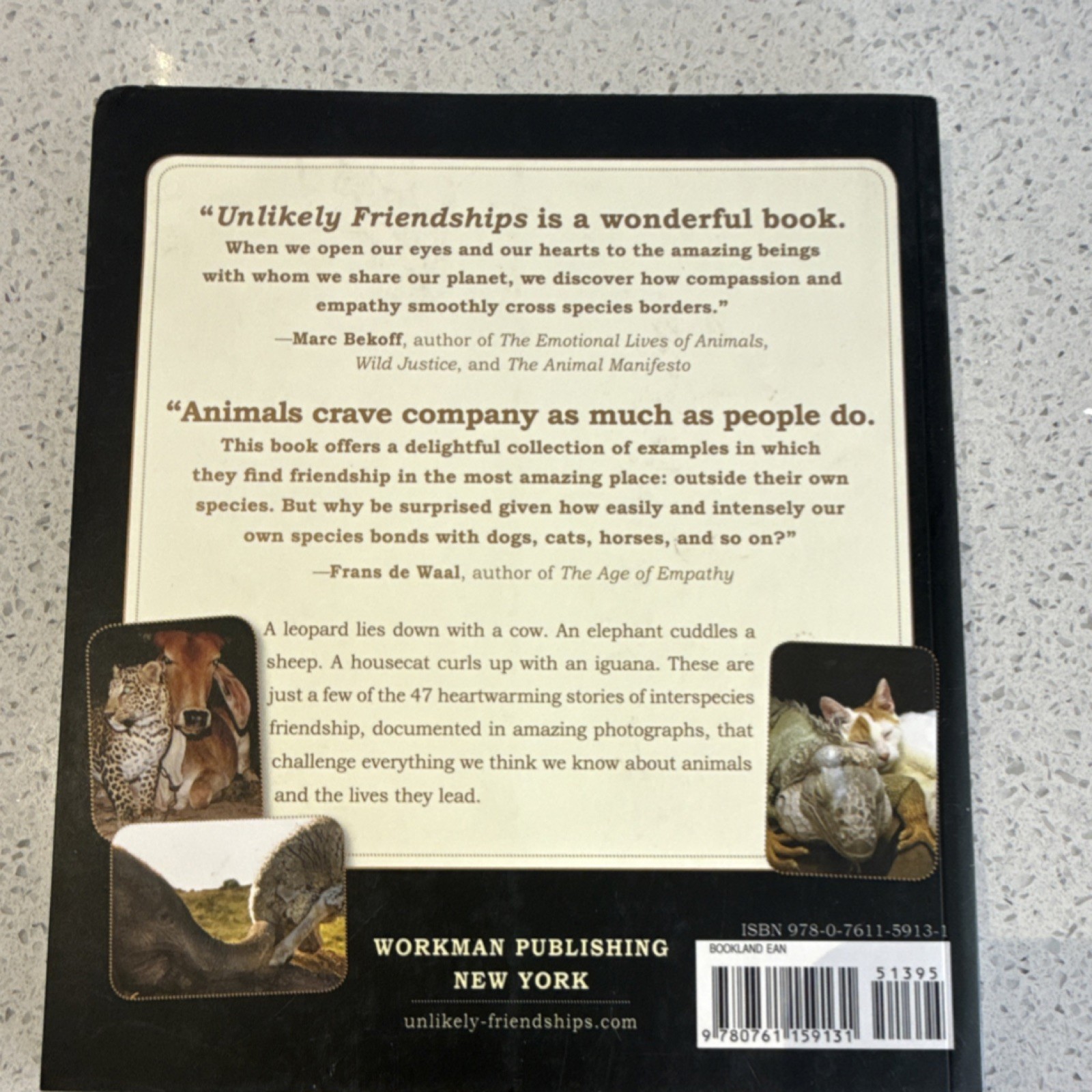 Workman Publishing Unlikely Friendships by Jennifer S. Holland Illustrated PB