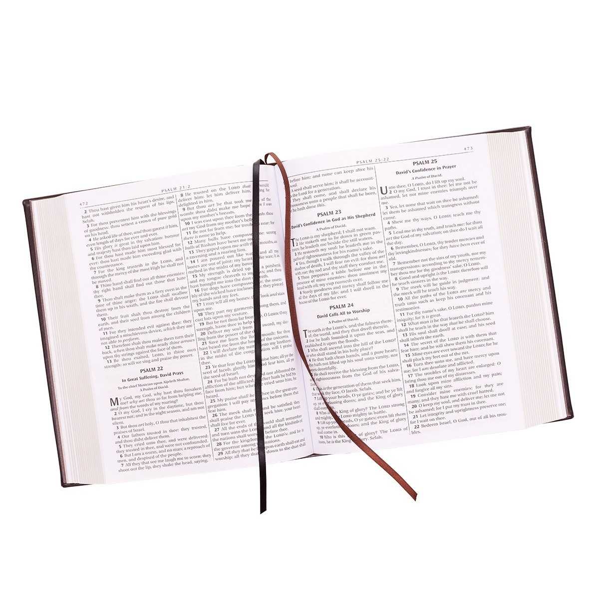 The Holy Bible King James Version Gustave Dore Illustrated Family Bible