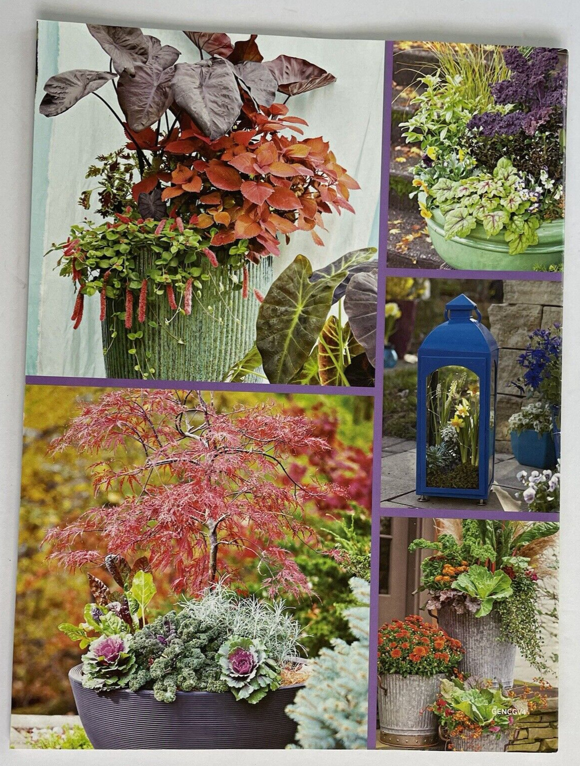 Lot x4 Gardening, Potted Plants, Lawns, Containers, Yards Flowers Gardens