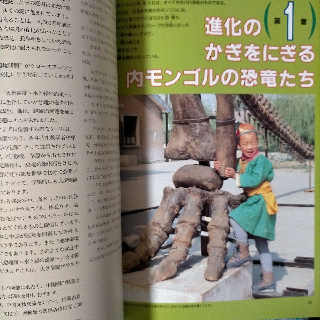 Official Guide Book Dinosaur Expo Fossils Photos China 21cm