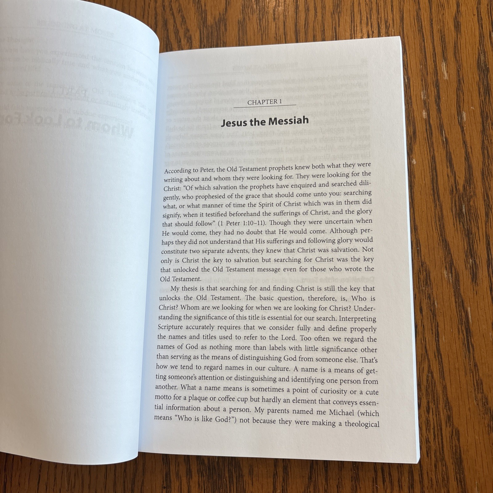 Beginning At Moses By Michael P. V. Barrett PB