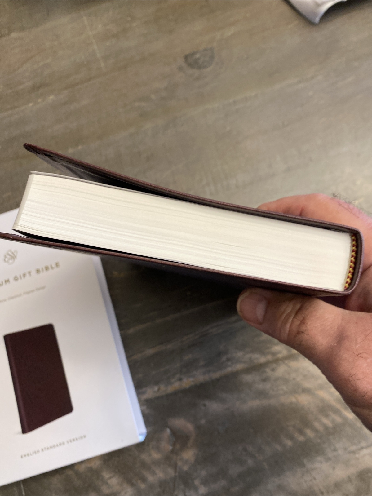 Premium Gift Bible-ESV-Filigree Design (Leather / Fine Binding) New Open Box
