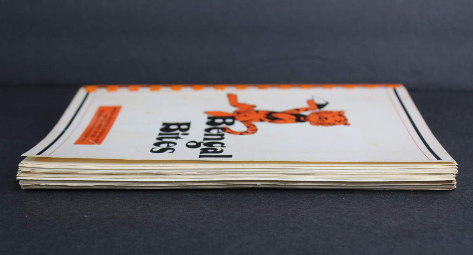 Rare 1984 Bengal Bites Cincinnati Bengals Wives’ Cookbook Spiral Bound 127 Pages