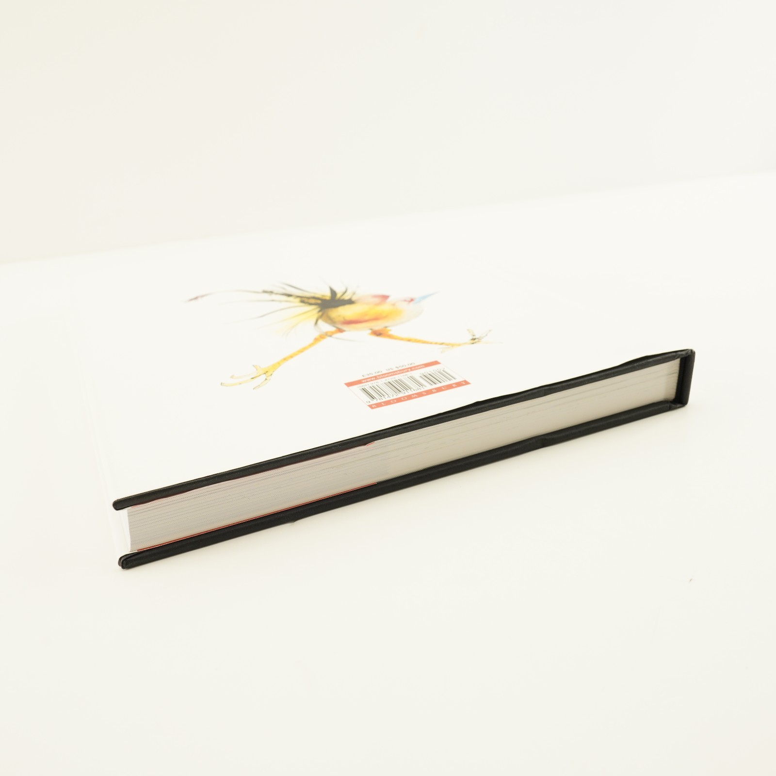 Ralph Steadman Nextinction Ceri Levy Signed Wing and Prayer Commentary