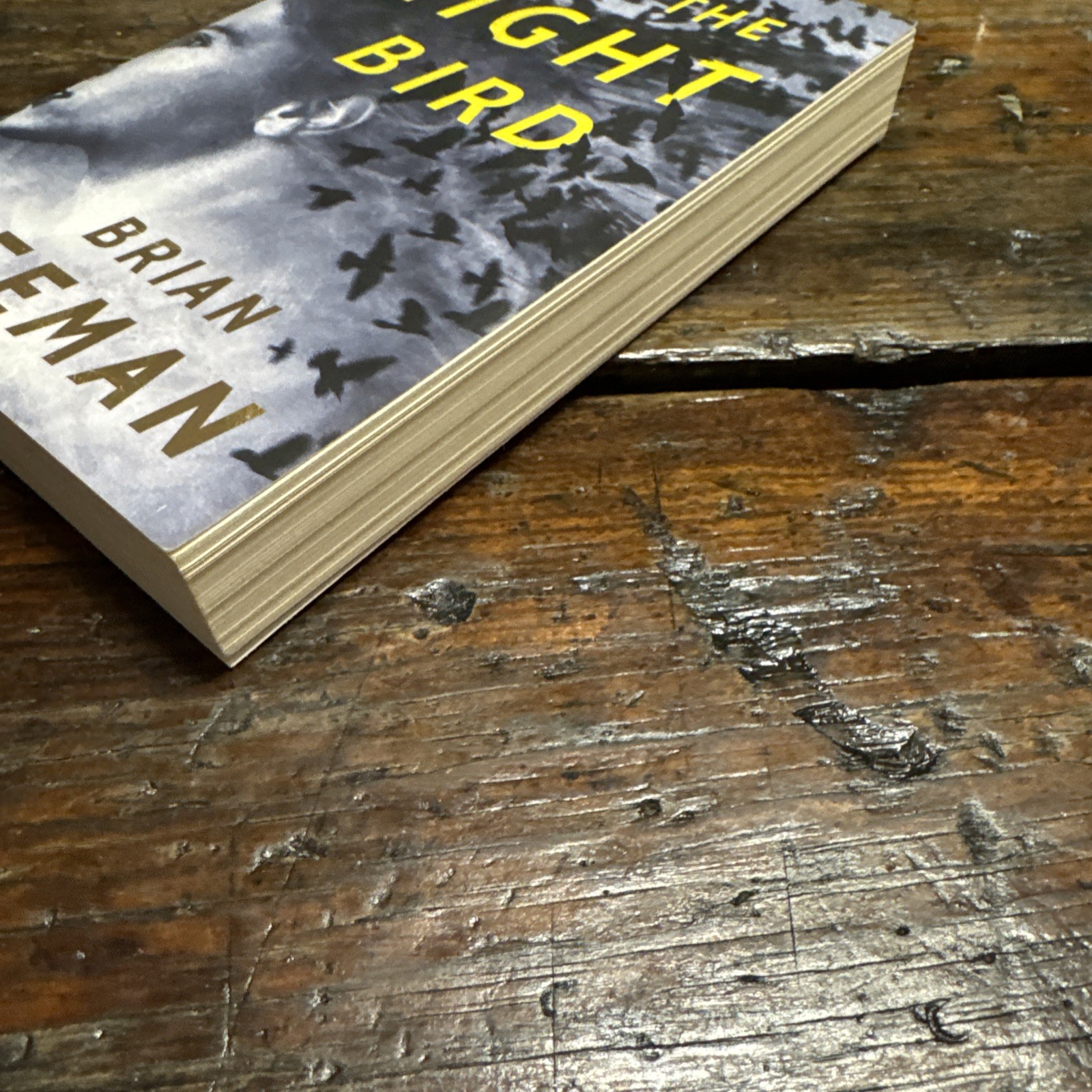 Night Bird by Brian Freeman (2017, Trade Paperback) 1st Edition