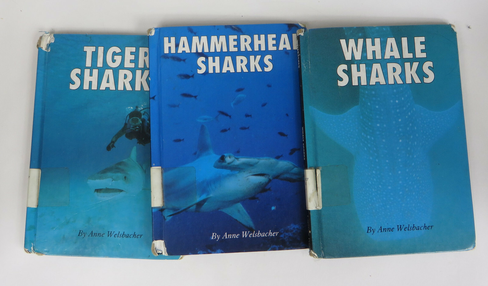 Whale Hammerhead Tiger Sharks 3 Book by Anne Welsbacher HC Ex-Lib Youth