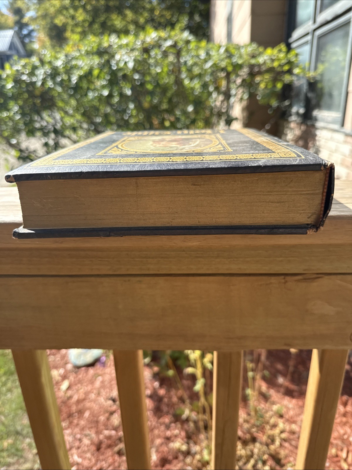 Vintage 1978 Nelson/Regency Family Bible Red Letter KJV Large 8” X 11” Holy Bib