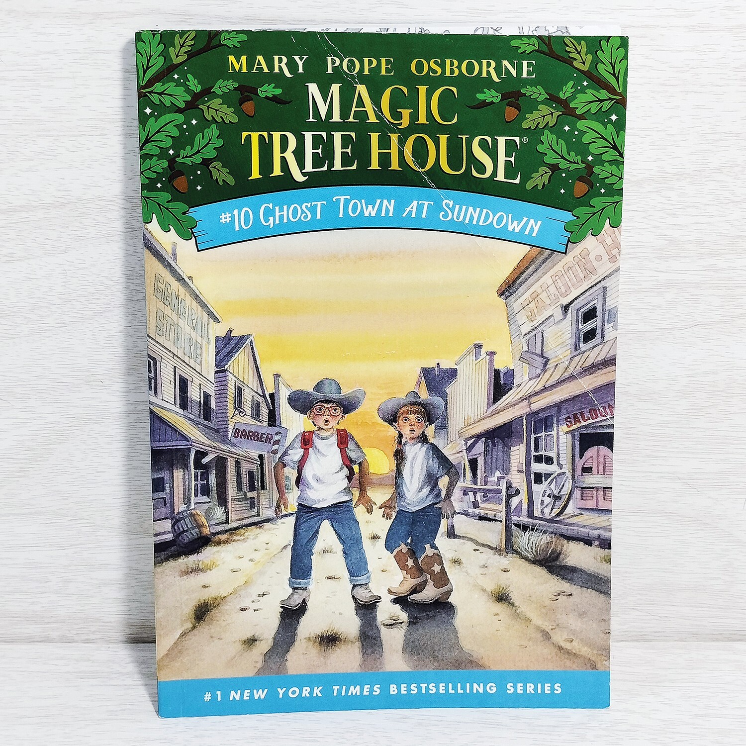 Magic Tree House Books 1-15 Complete Box Set Collection #1 PB Mary Pope Osborne
