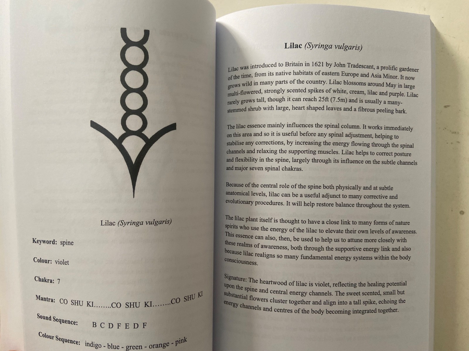 SIGNED Simon & Sue Lilly: The Healing Energies of Trees & Their Flower Essences