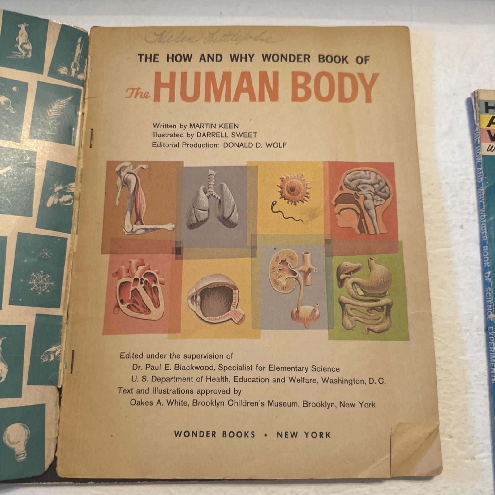 Lot Of 3 The How And Why Wonder Books Paperback Science Human Body Scientists
